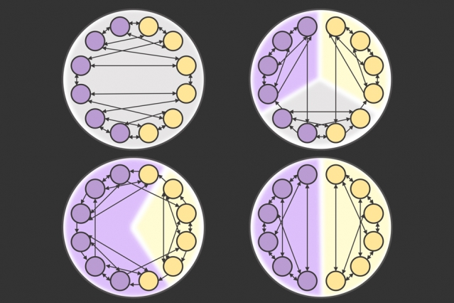 Study analyzes how networks can distort voters’ perceptions and change election results.